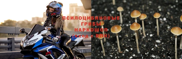 мяу мяу мука Арсеньев