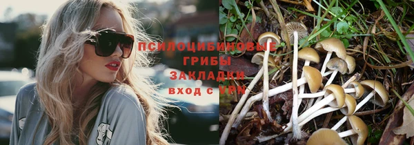 первитин Армянск